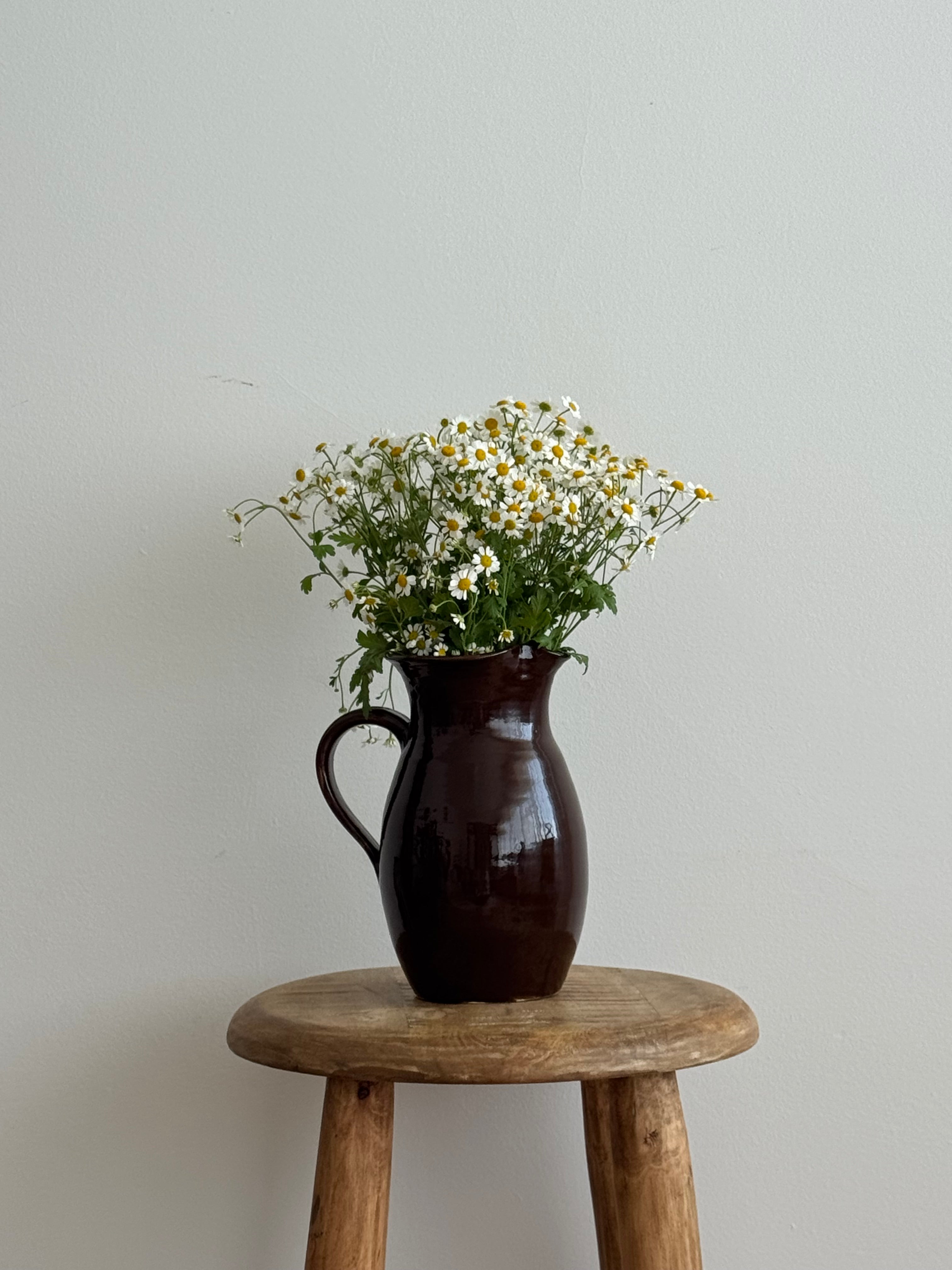 Mabel rustic jug