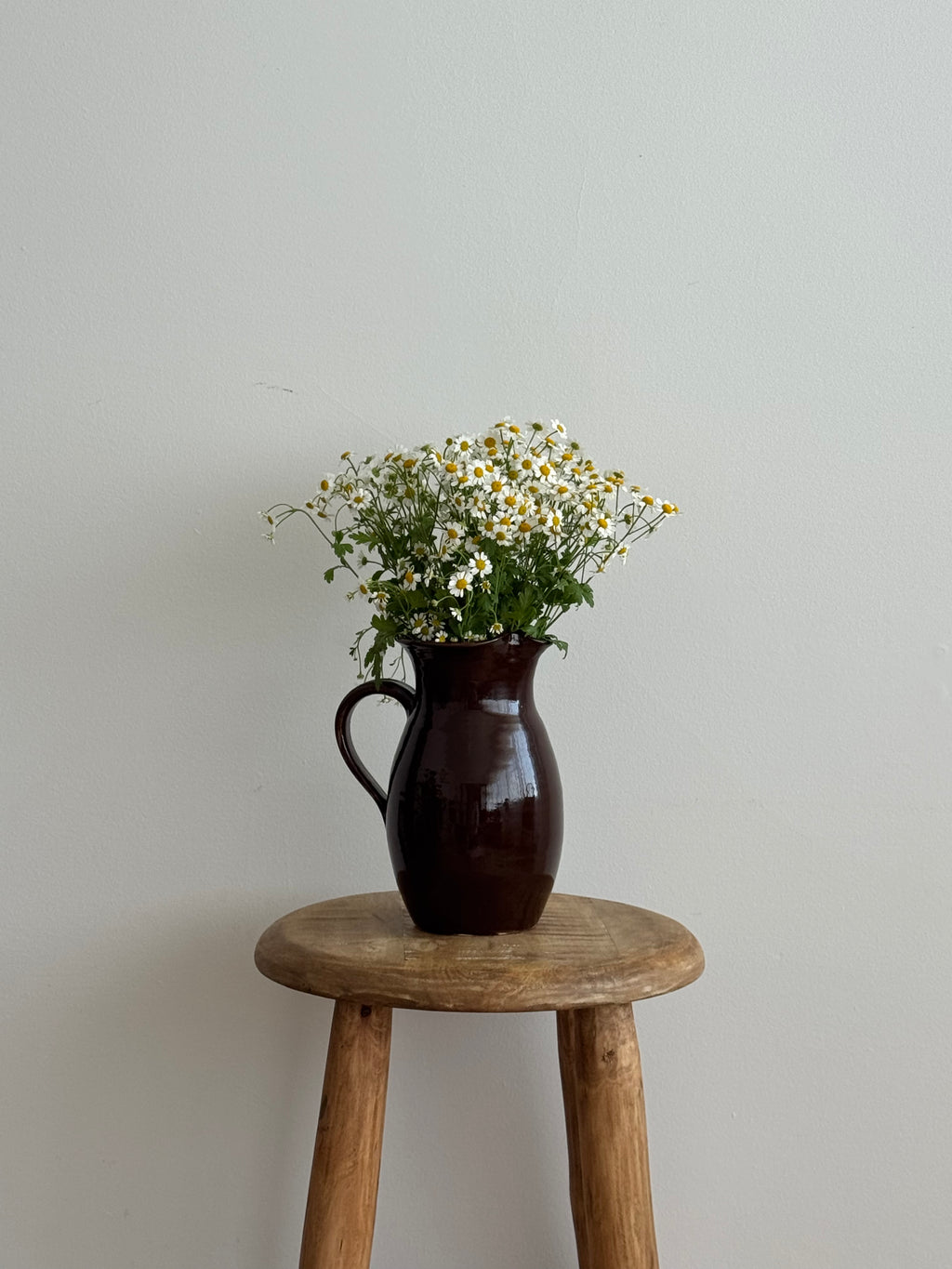 Mabel rustic jug
